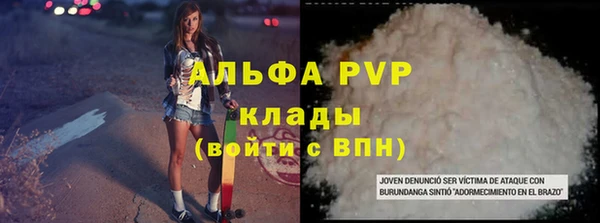 СК Аркадак